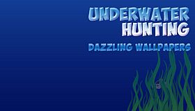 Underwater hunting Dazzling Wallpapers