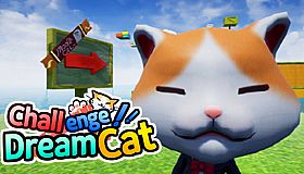 Challenge Dream Cat