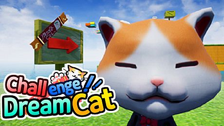 Challenge Dream Cat Game