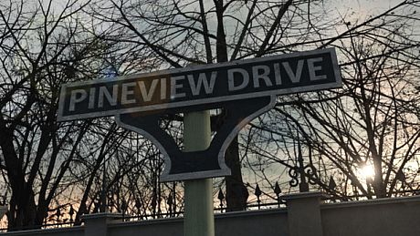 Pineview Drive Game