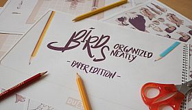 Birds Organized Neatly - Paper Edition