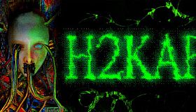 how to kill a fly [ H2KAF ]