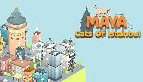 Maya: Cats of Istanbul