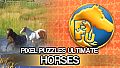 Jigsaw Puzzle Pack - Pixel Puzzles Ultimate: Horses