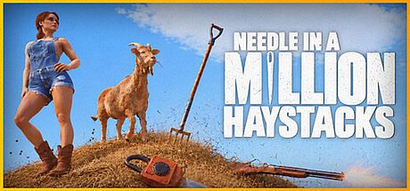 Needle in a Million Haystacks Game