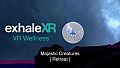 Exhale XR - Majestic Creatures