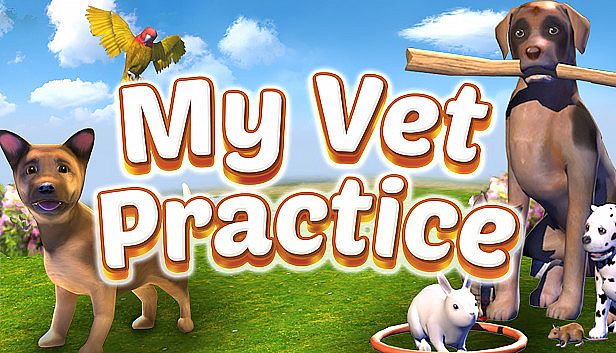 Buy My Vet Practice