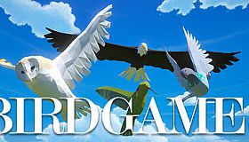 Bird Game 3