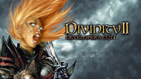 Divinity II: Developer's Cut Game