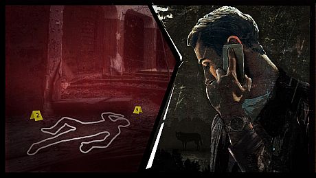 Criminal Expert Game