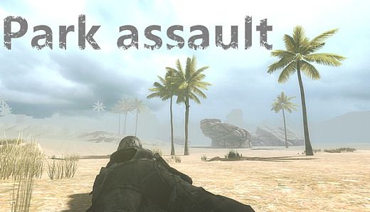 Park assault