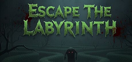 Escape The Labyrinth