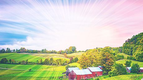 Finding America: The Heartland Collector's Edition Game