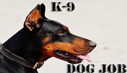 K-9 Dog Job
