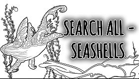 SEARCH ALL - SEASHELLS