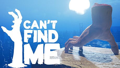 I Can't Find Me Game