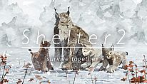 Shelter 2