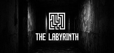 The Labyrinth Game