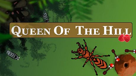 Queen Of The Hill Game