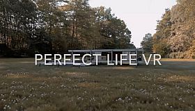Perfect Life VR