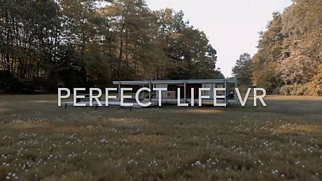 Perfect Life VR Game