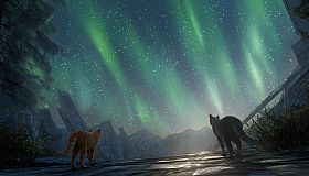 Little Strays 2 - Echoes of the City