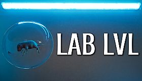 LAB LVL