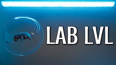 LAB LVL Game
