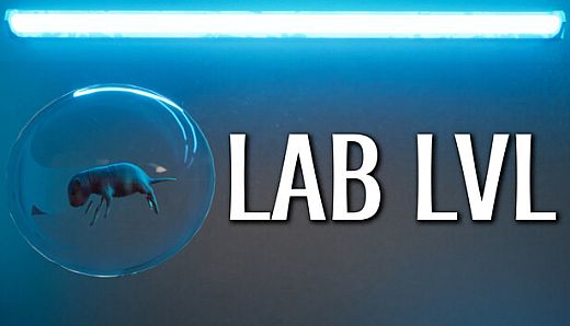 LAB LVL