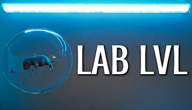 Buy LAB LVL