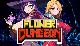 플라워던전-DLC : 메이지&나이츠