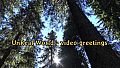 UnReal World - Video greetings