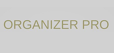 Organizer Pro Game
