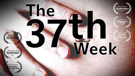 The 37th Week Game