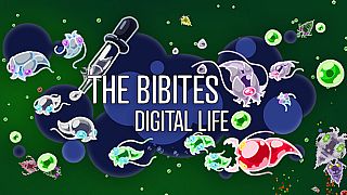 The Bibites: Digital Life Game