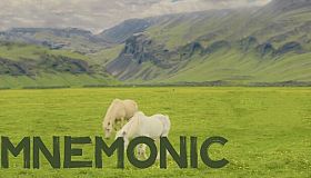 Mnemonic