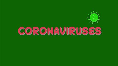 CoronaViruses Game