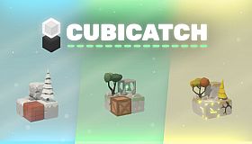Cubicatch