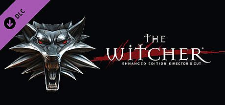 The Witcher: Director's Cut Update