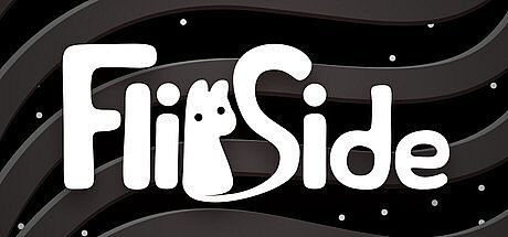 Flipside Game