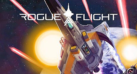 Rogue Flight Game