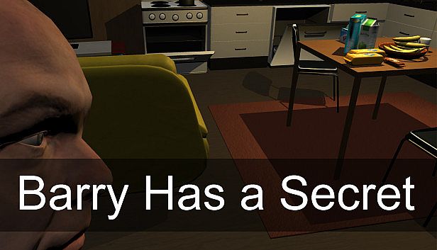 Buy Barry Has a Secret