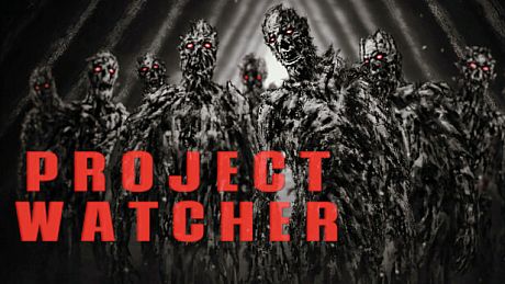 PROJECT WATCHER Game