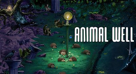 ANIMAL WELL Game