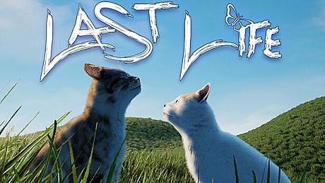 Last Life Game