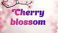 Cherry blossom