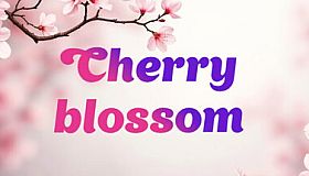 Cherry blossom