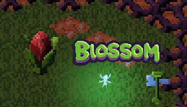 Buy Blossom