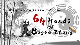 中国传统武术 八卦掌 六十四手 Chinese martial arts (kungfu) The 64 Hands of Bagua Zhang