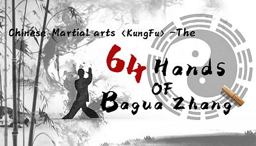 中国传统武术 八卦掌 六十四手 Chinese martial arts (kungfu) The 64 Hands of Bagua Zhang